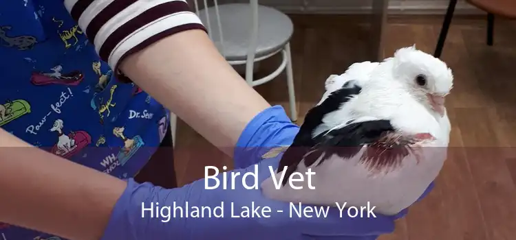 Bird Vet Highland Lake - New York