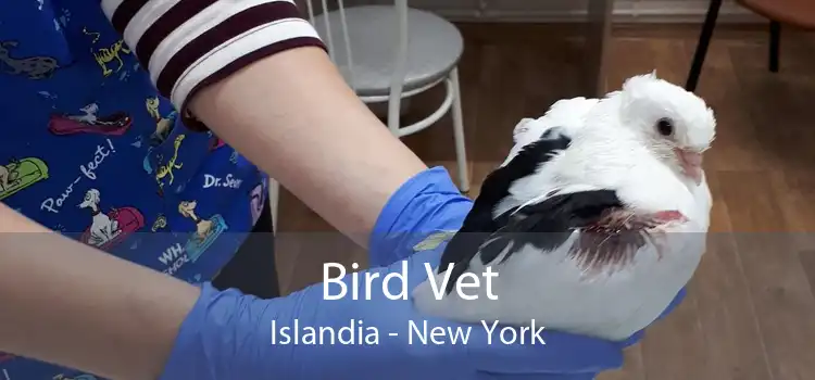 Bird Vet Islandia - New York