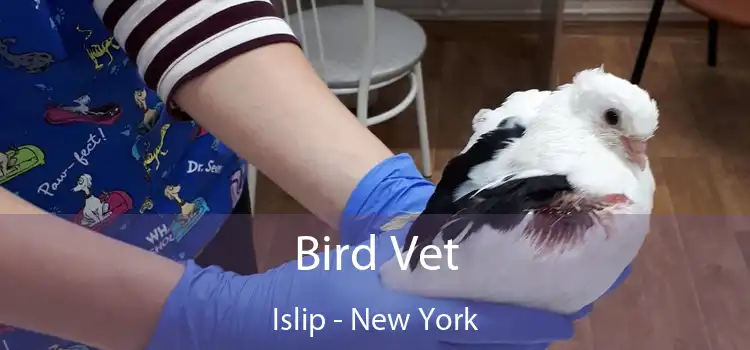 Bird Vet Islip - New York