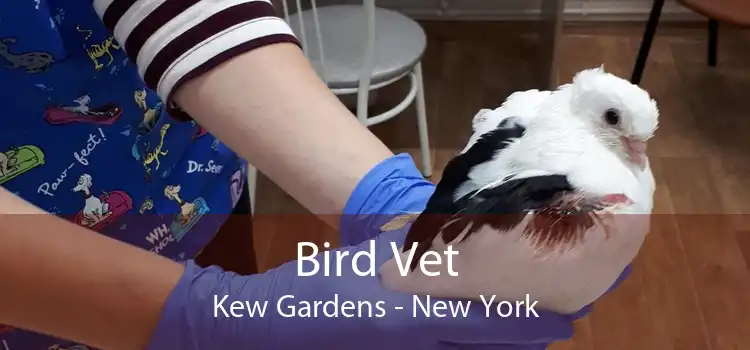 Bird Vet Kew Gardens - New York