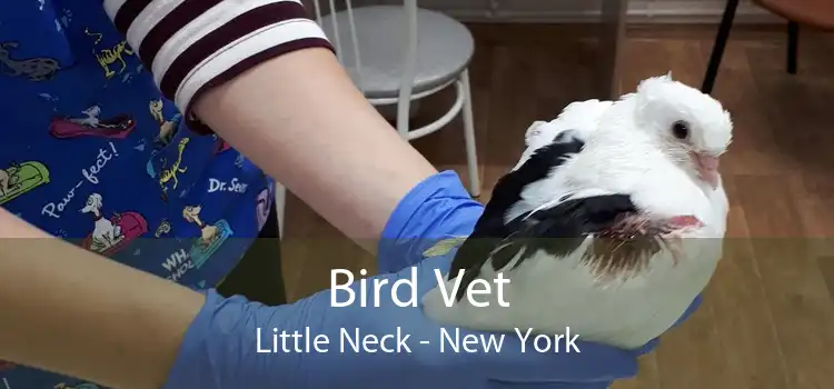 Bird Vet Little Neck - New York