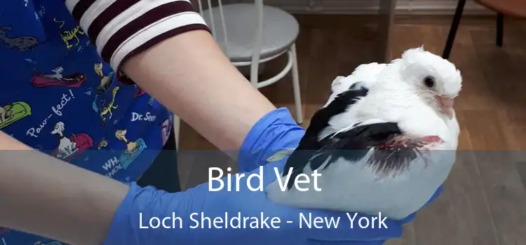 Bird Vet Loch Sheldrake - New York