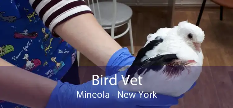 Bird Vet Mineola - New York