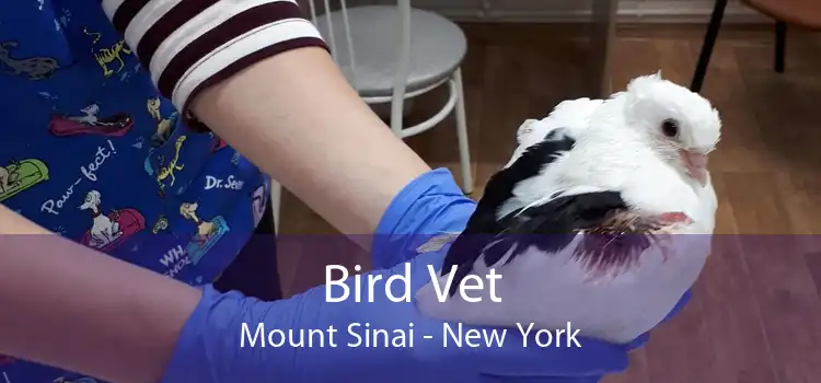 Bird Vet Mount Sinai - New York