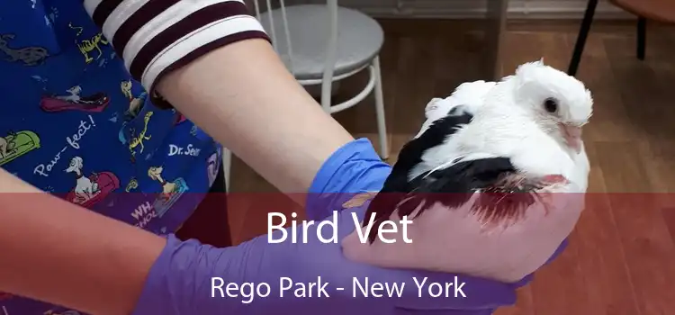 Bird Vet Rego Park - New York