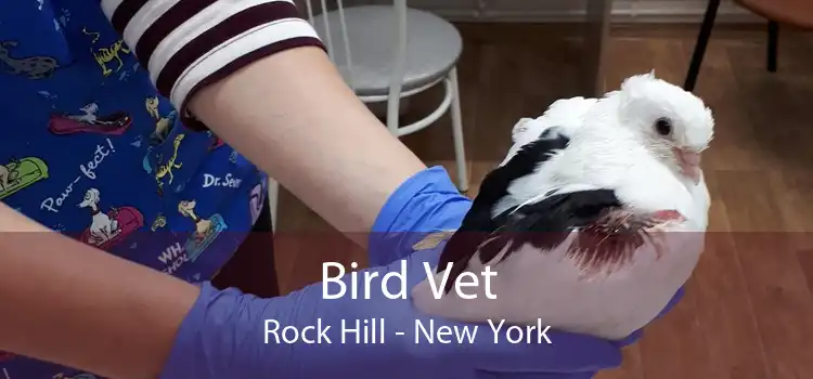 Bird Vet Rock Hill - New York