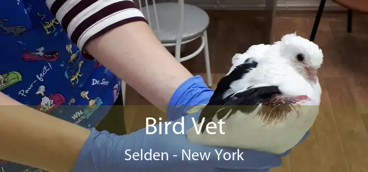 Bird Vet Selden - New York