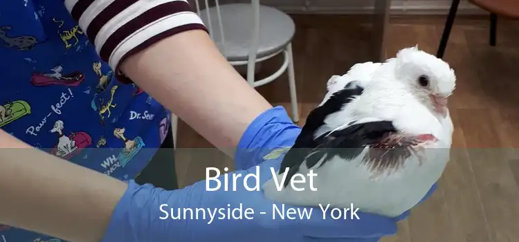 Bird Vet Sunnyside - New York
