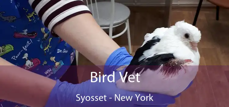 Bird Vet Syosset - New York