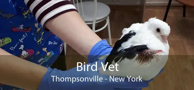 Bird Vet Thompsonville - New York