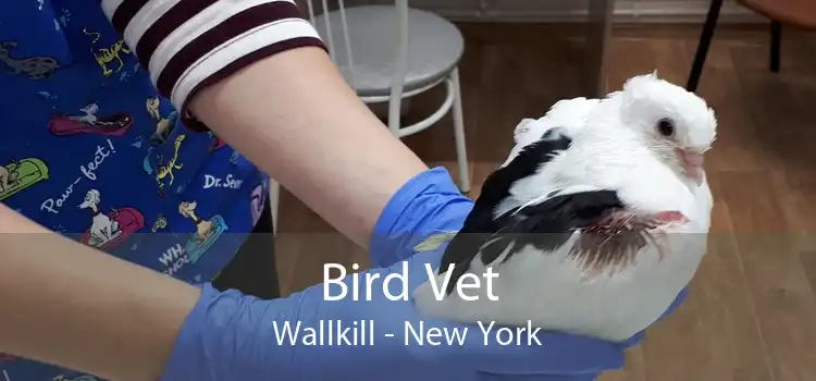 Bird Vet Wallkill - New York