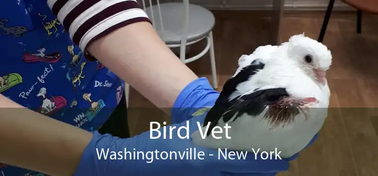 Bird Vet Washingtonville - New York