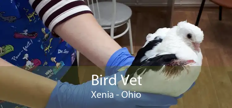 Bird Vet Xenia - Ohio