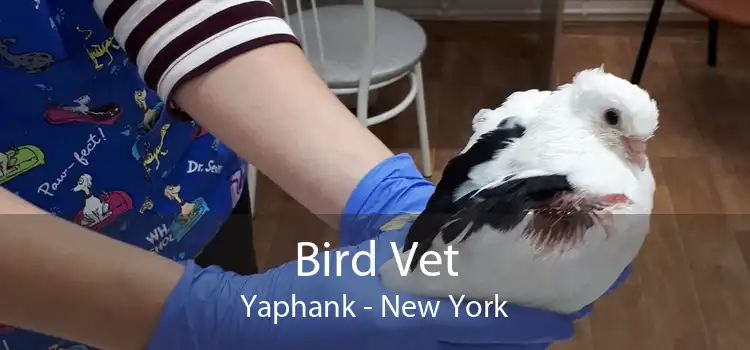 Bird Vet Yaphank - New York