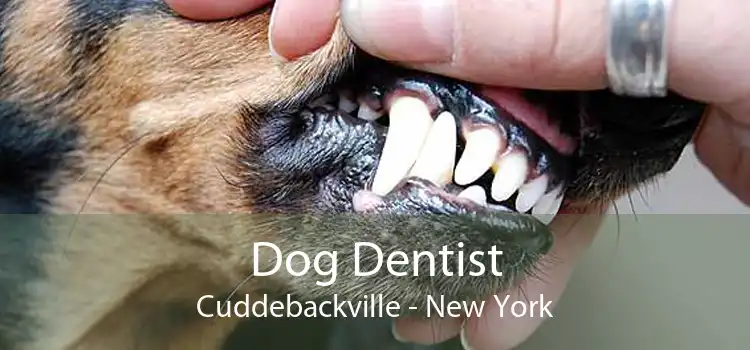 Dog Dentist Cuddebackville - New York