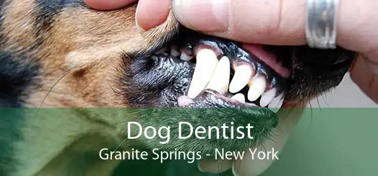 Dog Dentist Granite Springs - New York