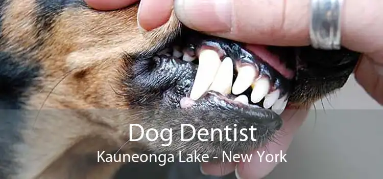 Dog Dentist Kauneonga Lake - New York