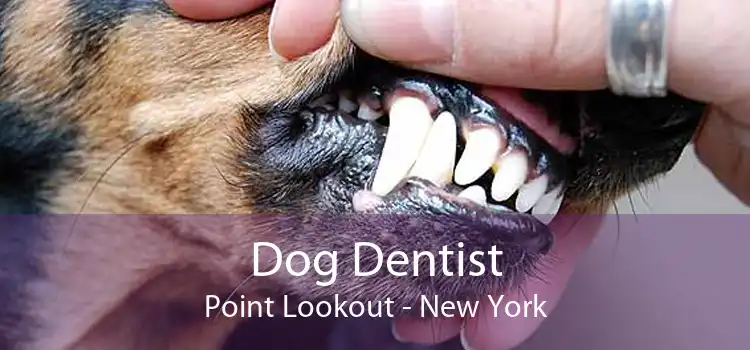 Dog Dentist Point Lookout - New York