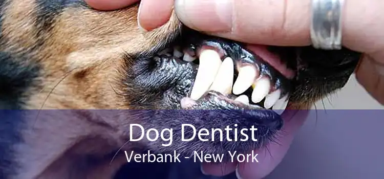 Dog Dentist Verbank - New York