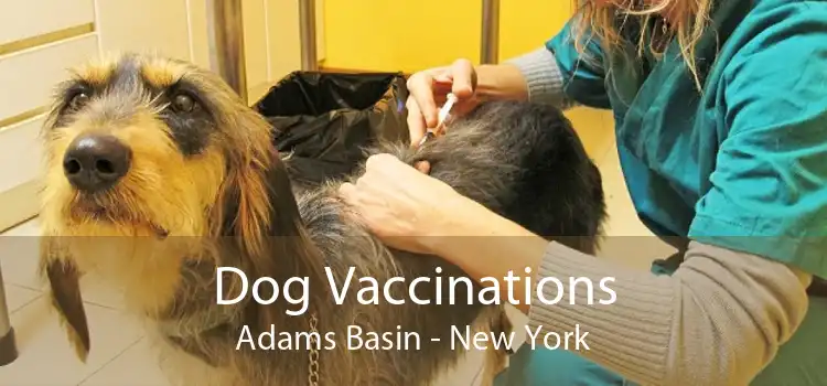 Dog Vaccinations Adams Basin - New York