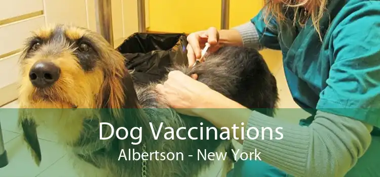 Dog Vaccinations Albertson - New York