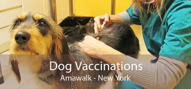 Dog Vaccinations Amawalk - New York