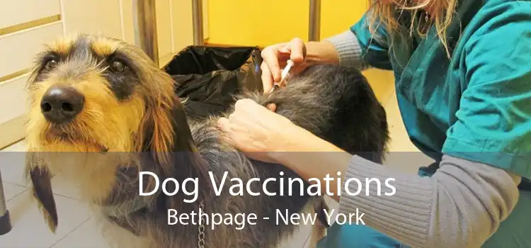 Dog Vaccinations Bethpage - New York