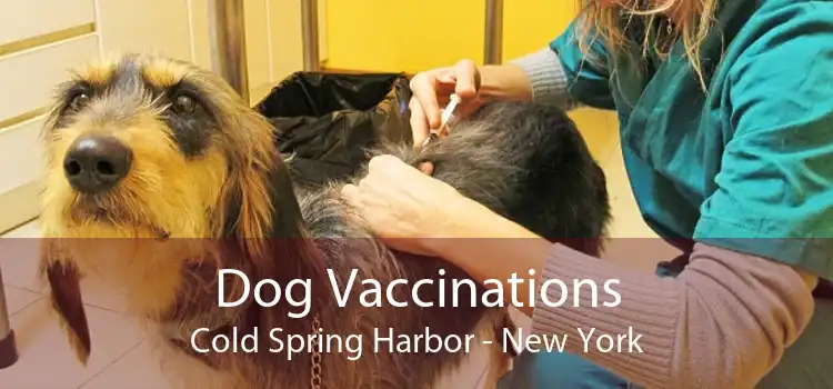Dog Vaccinations Cold Spring Harbor - New York