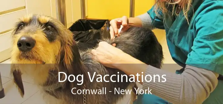 Dog Vaccinations Cornwall - New York