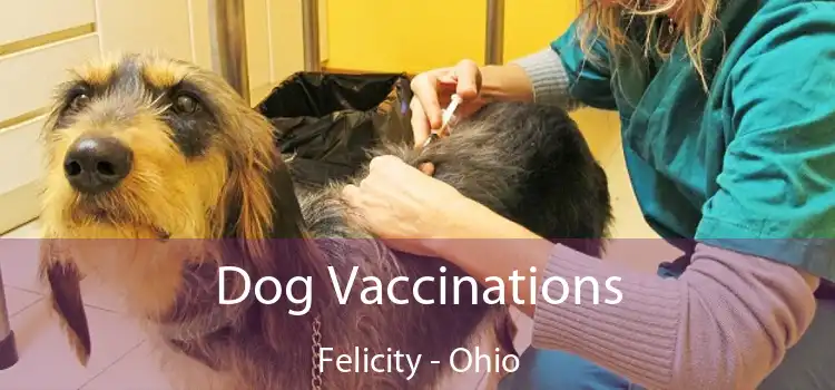 Dog Vaccinations Felicity - Ohio