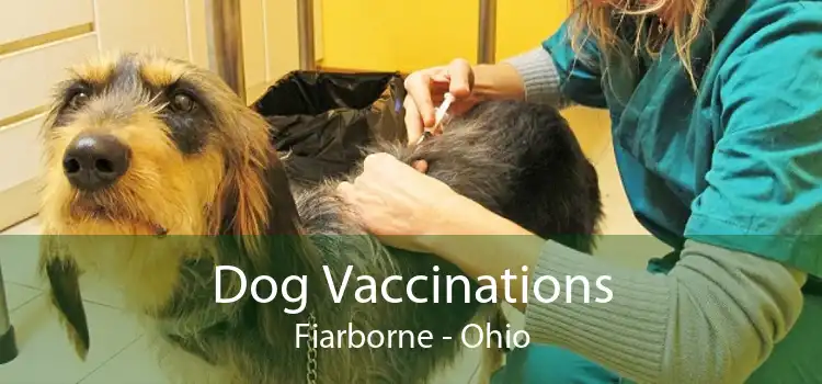 Dog Vaccinations Fiarborne - Ohio