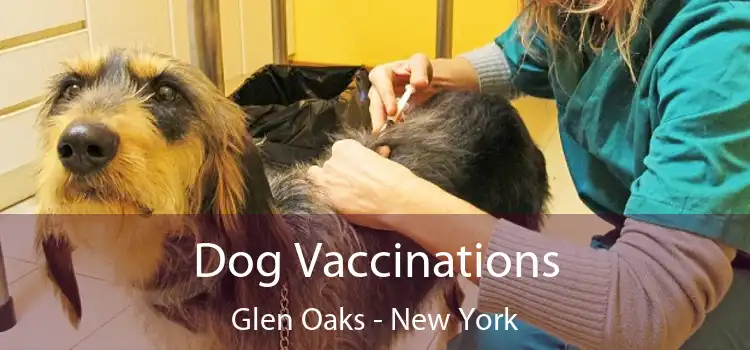 Dog Vaccinations Glen Oaks - New York