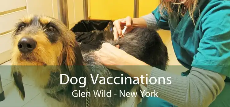 Dog Vaccinations Glen Wild - New York