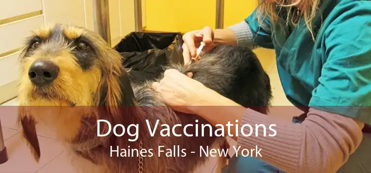 Dog Vaccinations Haines Falls - New York