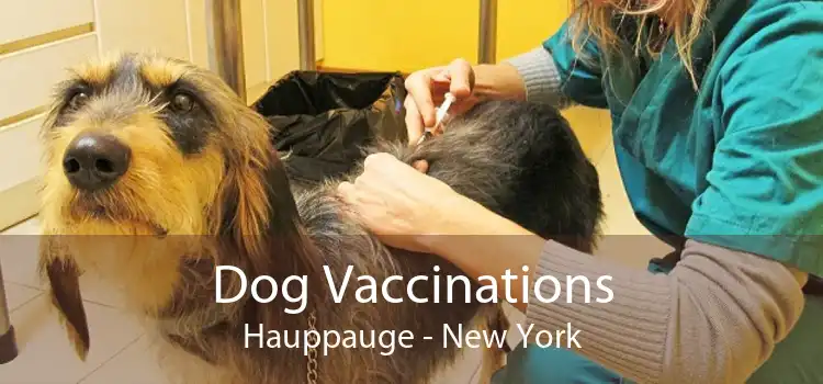 Dog Vaccinations Hauppauge - New York