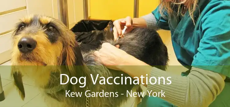 Dog Vaccinations Kew Gardens - New York