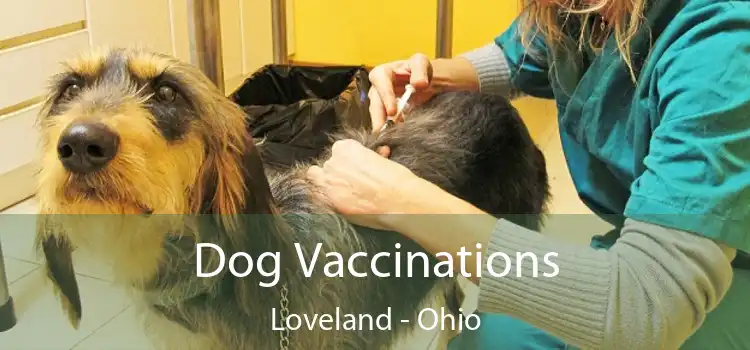 Dog Vaccinations Loveland - Ohio