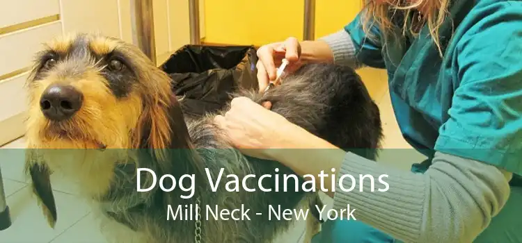 Dog Vaccinations Mill Neck - New York