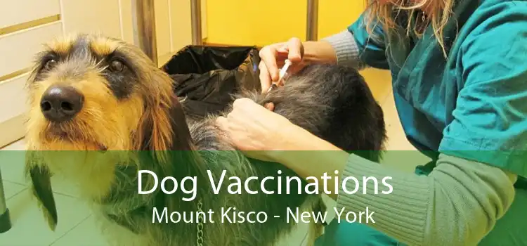 Dog Vaccinations Mount Kisco - New York