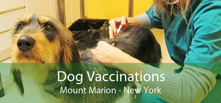 Dog Vaccinations Mount Marion - New York