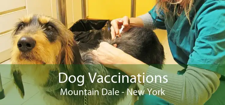 Dog Vaccinations Mountain Dale - New York