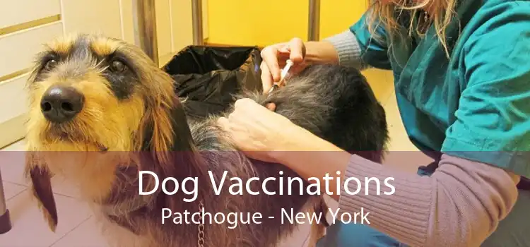 Dog Vaccinations Patchogue - New York