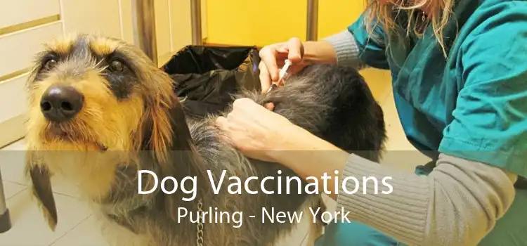 Dog Vaccinations Purling - New York