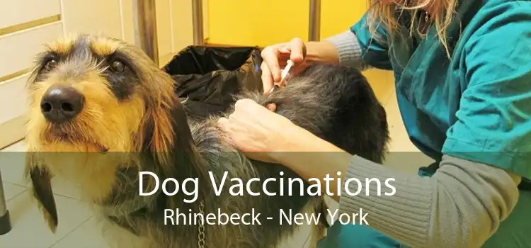 Dog Vaccinations Rhinebeck - New York