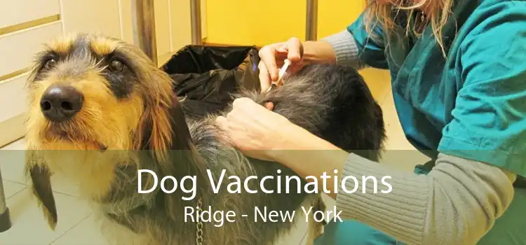 Dog Vaccinations Ridge - New York