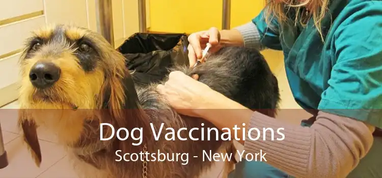 Dog Vaccinations Scottsburg - New York