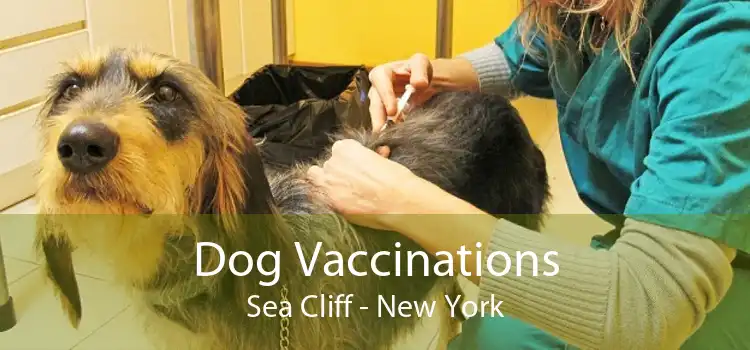 Dog Vaccinations Sea Cliff - New York