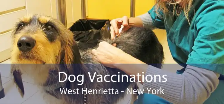 Dog Vaccinations West Henrietta - New York