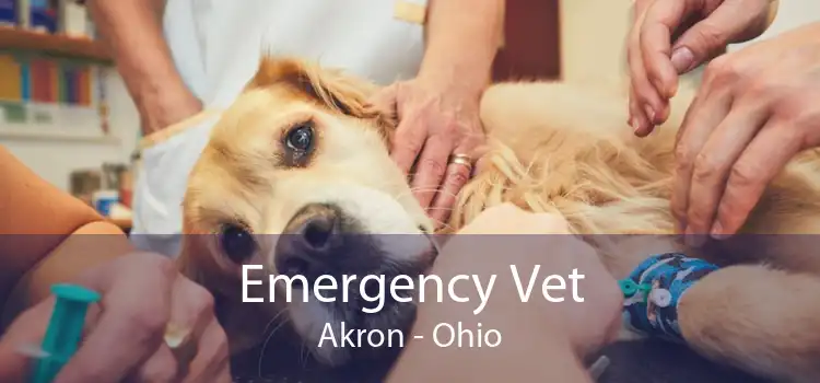 Emergency Vet Akron - Ohio