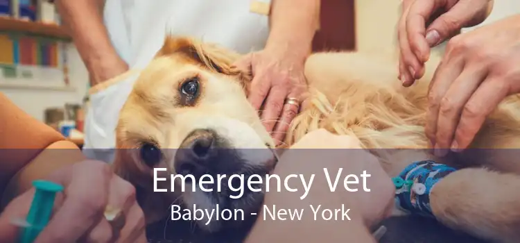 Emergency Vet Babylon - New York